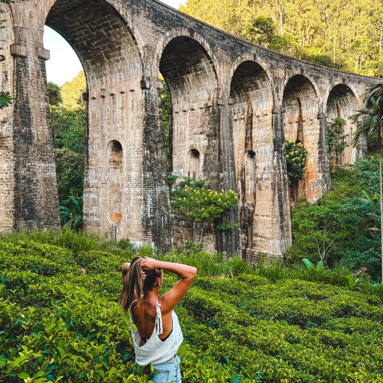 The Crown Jewel of the Highlands: A Complete Guide to Sri Lanka’s Nine Arch Bridge